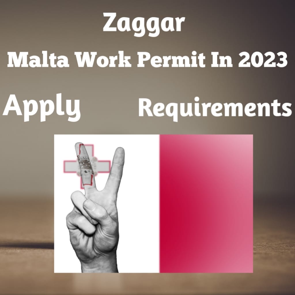 Malta Work Visa Requirements Fees  And Guidelines in 2023